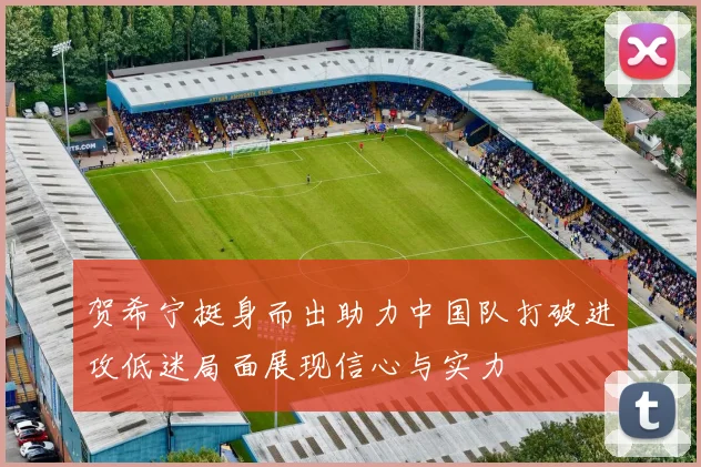 贺希宁挺身而出助力中国队打破进攻低迷局面展现信心与实力
