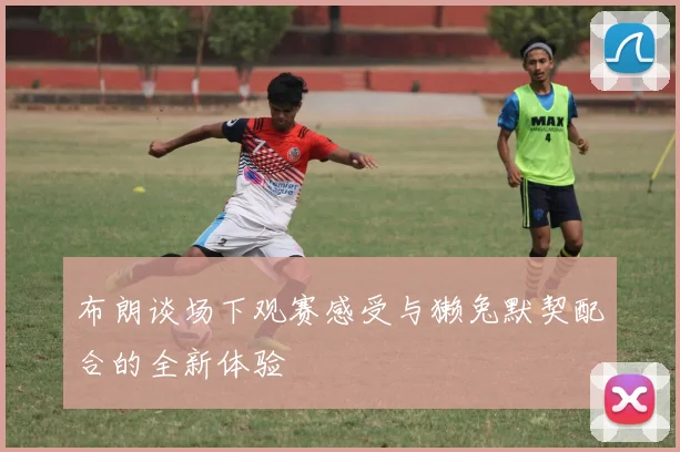 布朗谈场下观赛感受与獭兔默契配合的全新体验