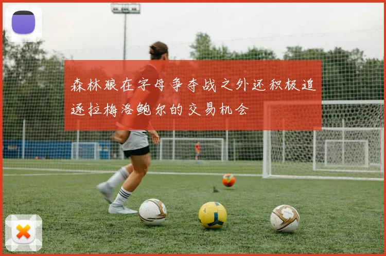 森林狼在字母争夺战之外还积极追逐拉梅洛鲍尔的交易机会