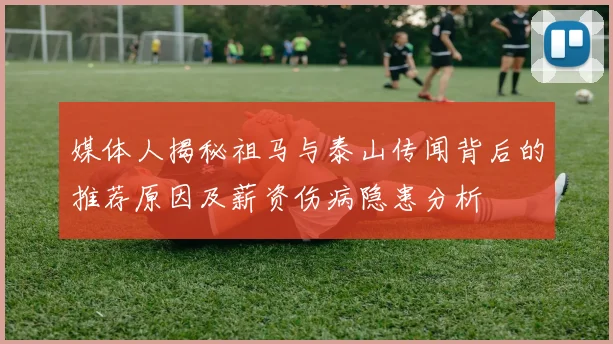 媒体人揭秘祖马与泰山传闻背后的推荐原因及薪资伤病隐患分析